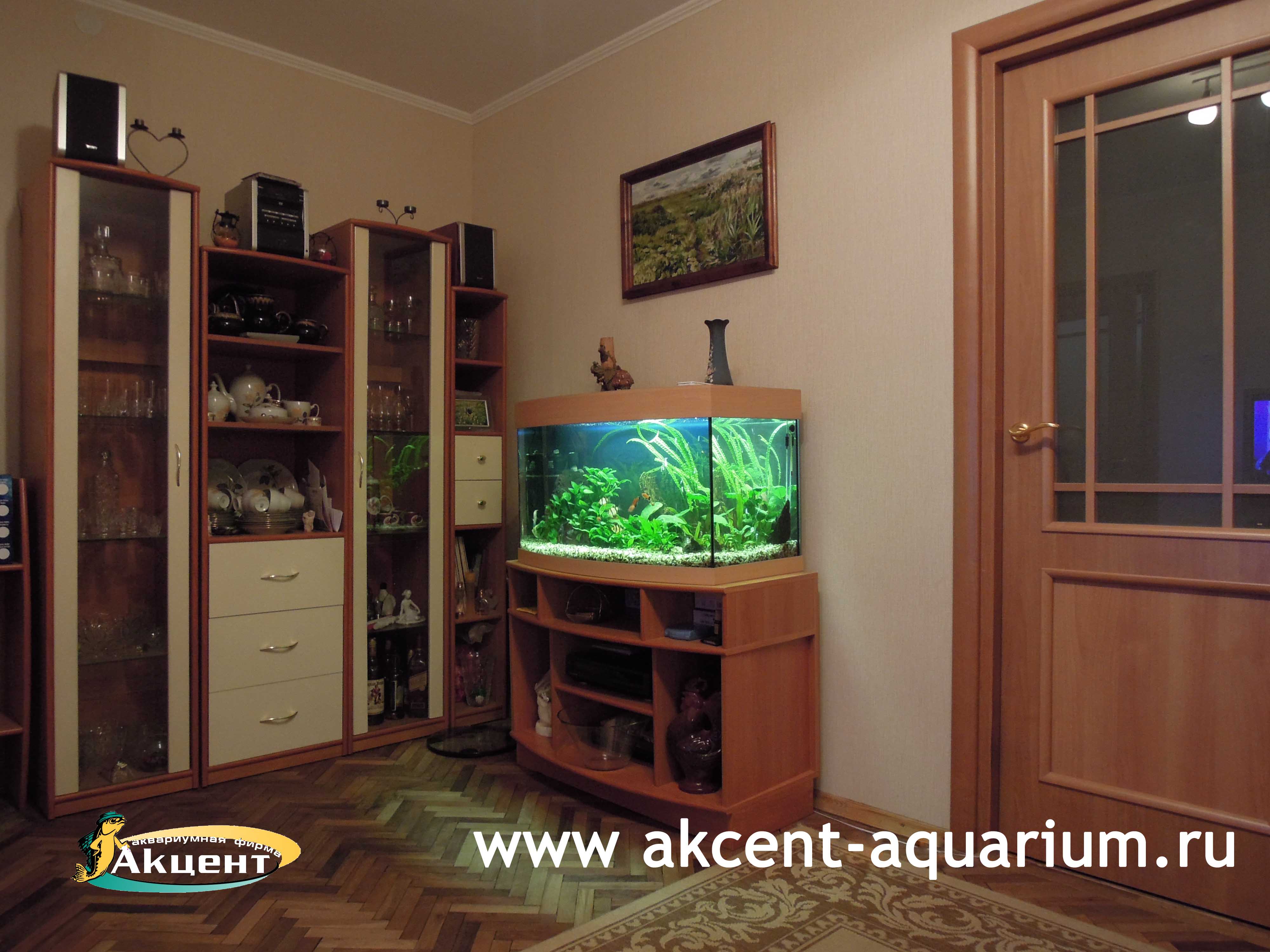 Акцент-аквариум, аквариум 140 литров, с гнутым передним стеклом